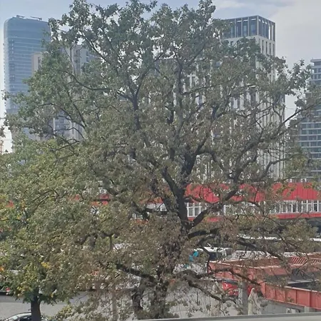 아파트 Bel Galleries Sajmiste